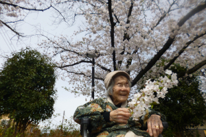 お花見