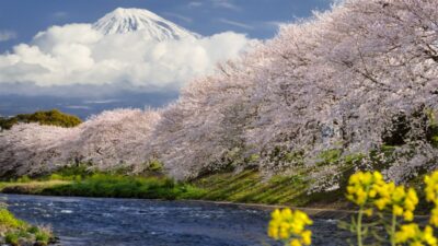 4月のおたより