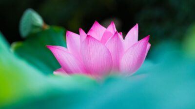 7月のおたより