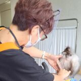 理美容の日