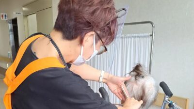 理美容の日