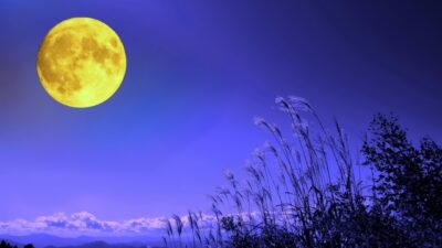 9月のおたより