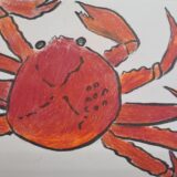 絵手紙が届きました。