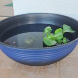 新たなお仲間がお目見え(^^♪